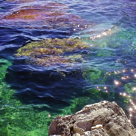 Eden De La Presqu'ile Giens